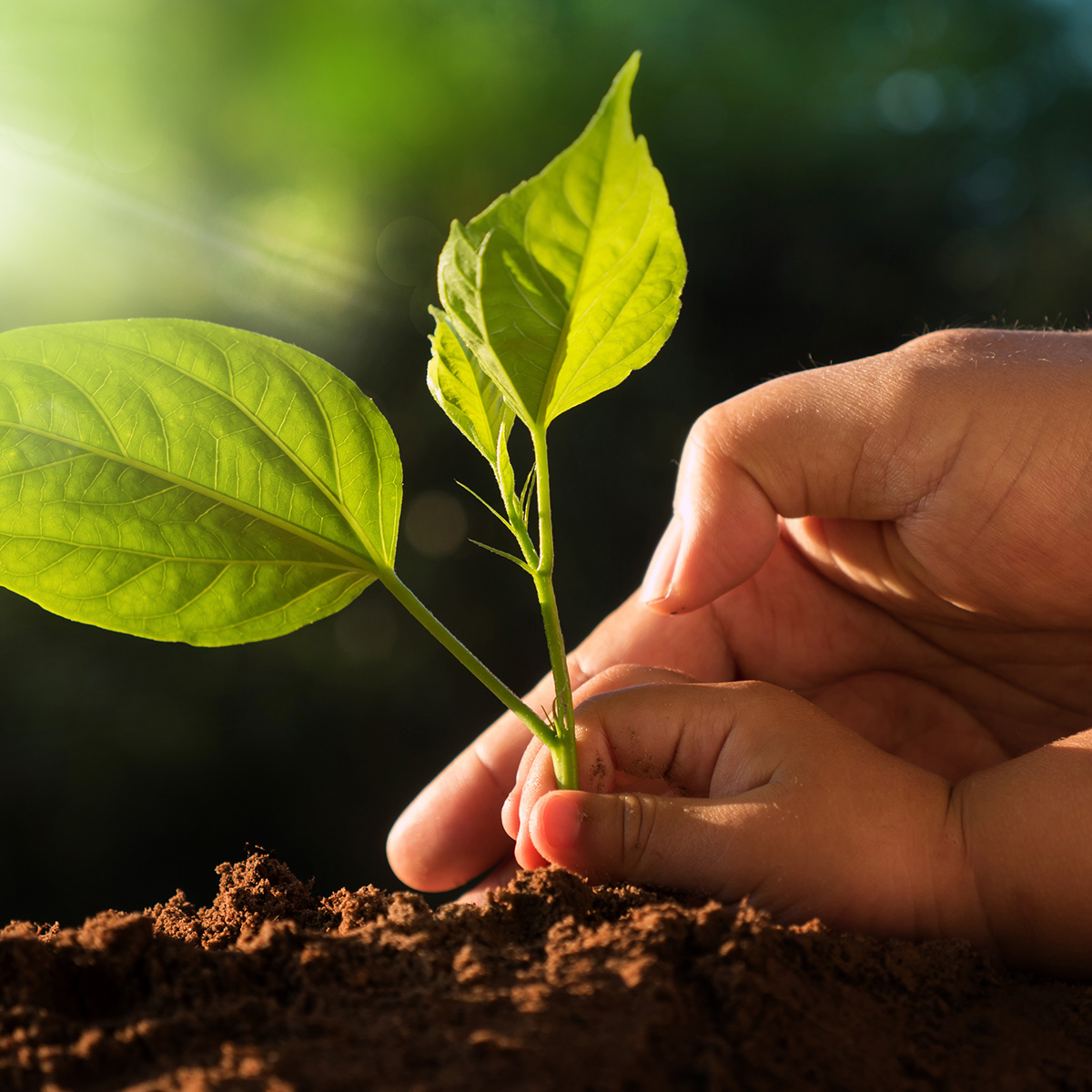 Scope_Zero_Page_Image_1x1_01